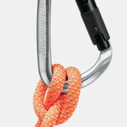 Mammut Classic HMS Twistlock Plus Carabiner